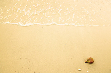 Soft wave of the sea on the sandy beach