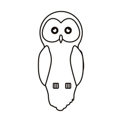 Owl cartoon icon. Bird animal and nature theme. Isolated design. Vector illustration