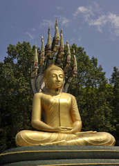 Fototapeta premium Buddha
