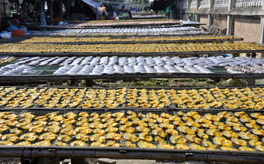 Fototapeta premium Sun drying fish