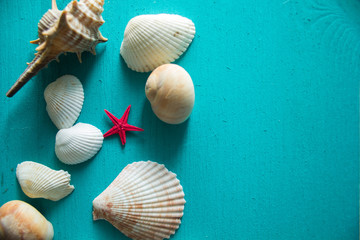 Seashells on blue wooden background