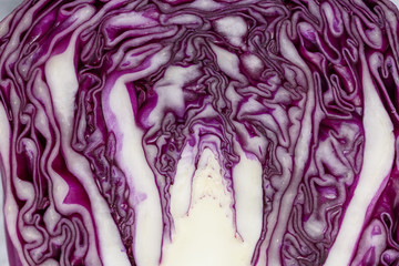 Obraz premium Red cabbage in close-up shot
