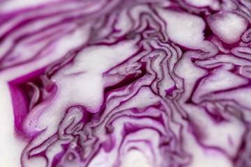 Obraz premium Red cabbage in close-up shot