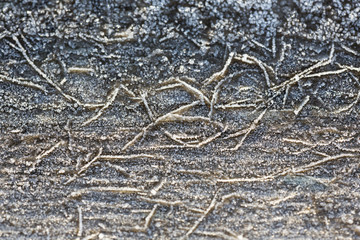 Frozen texture. Like worms. Crystal and abstract art from nature on a wooden surface.