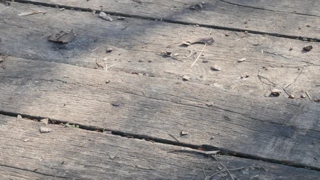 Slow tilt over old timber structure lighted naturally 4K 2160p 30fps UltraHD footage - Wooden bridge planks weathered and rotten close-up tilting 3840X2160 UHD video 