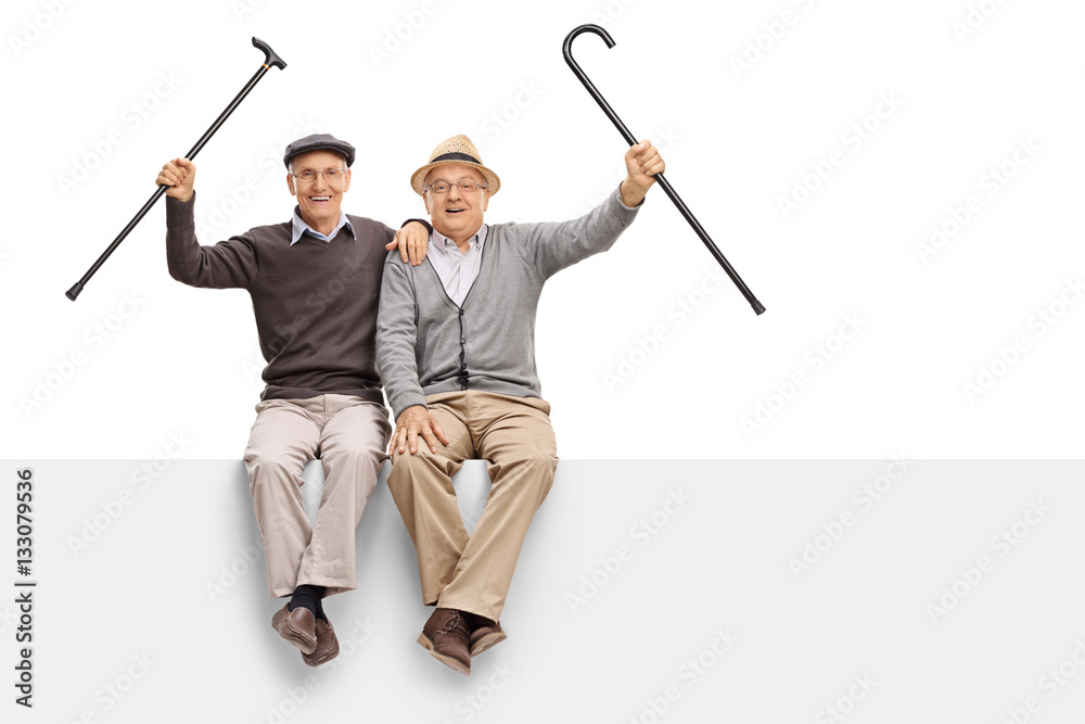 Canvas Prints Joyful seniors with walking canes sitting on a panel