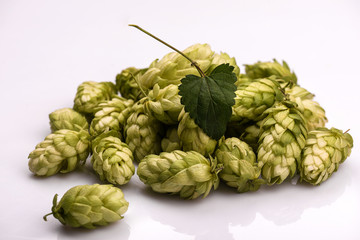 Fototapeta premium Hops and wheat, barley, malt for brewing beer on a wooden background
