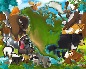 Cartoon animals eagle wolf buffalo skunk turkey and other - north america - illustration for children