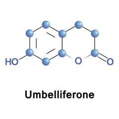 umbelliferone is a widespread natural product of the coumarin family, an ultraviolet fluorescence absorber