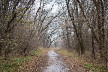 Naked in the Park alley