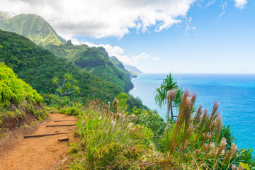 Beautiful ocean view in Kalalau trail, Kauai Island, Hawaii - obrazy, fototapety, plakaty