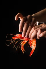 Fototapete Hand holding prawn © funkyfrogstock