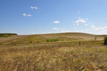 Obraz premium Russian field