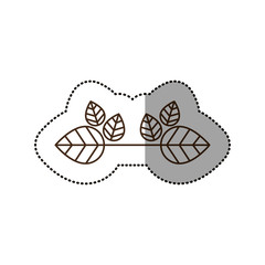 Leaves decoration icon. Plant garden and nature theme. Isolated design. Vector illustration