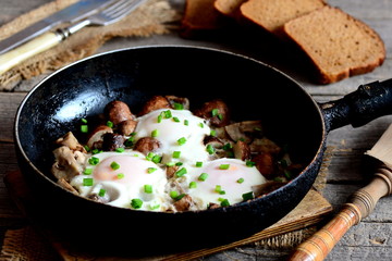 Fried eggs in pan. Eggs fried with mushrooms and green onions. Brown bread slices, fork, knife, cutting board on a wooden table. Quick and simple breakfast recipe with eggs. Rustic style. Closeup