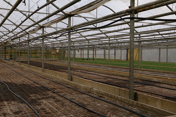 Gewächshaus mit Beeten zur Anzucht von Pflanzen