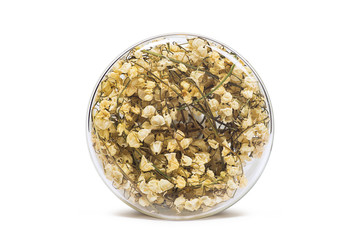 Dried lily of the valley in a glass capsule