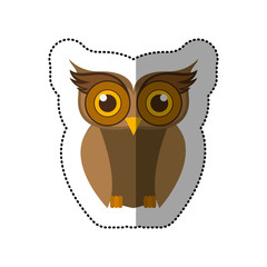 Owl cartoon icon. Bird animal and nature theme. Isolated design. Vector illustration