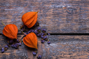 Physalis, ripe fruit on wooden background, selective focus