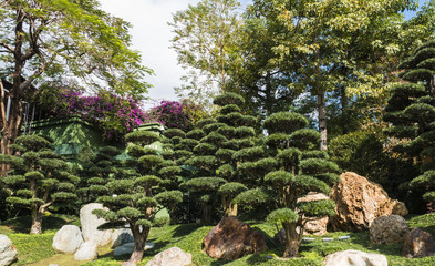 Japanese Garden