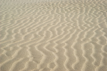 Fototapeta na wymiar Ripples in sand dunes