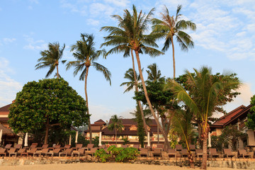 Fototapeta premium The hotel is on a tropical island with palm trees on the beach.