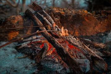 People on the nature of fried bacon on a campfire