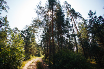 Fototapety na wymiar - Fototapeta24.pl