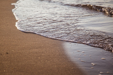A beautiful landscape of dunes on the coastline of Baltic sea