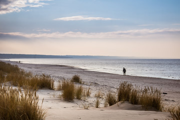 A beautiful landscape of dunes on the coastline of Baltic sea