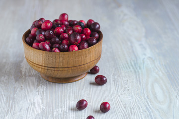 forest cranberries