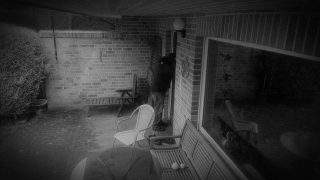 Dog chased burglar away - infrared security camera 4k 11854 
