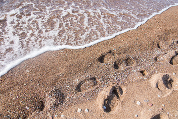A beautiful landscape of dunes on the coastline of Baltic sea