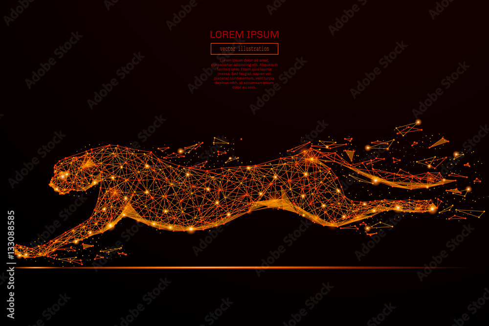 Poster Abstract mash line and point cheetah in flames style on dark background with an inscription. Business net speed of a starry sky or space, consisting of stars and the universe. Vector illustration