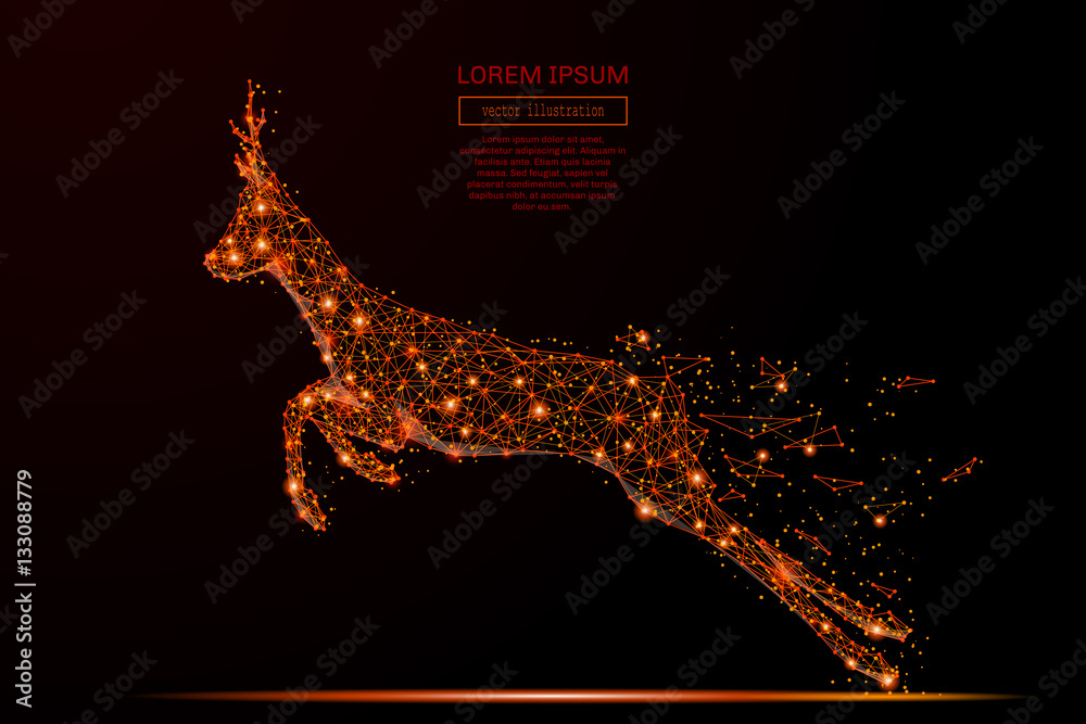 Poster abstract mash line and point run roe in flames style on dark background with an inscription. starry 