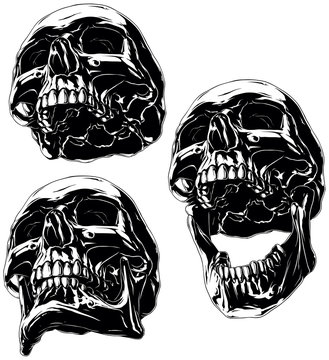 High detailed cool black human skull set