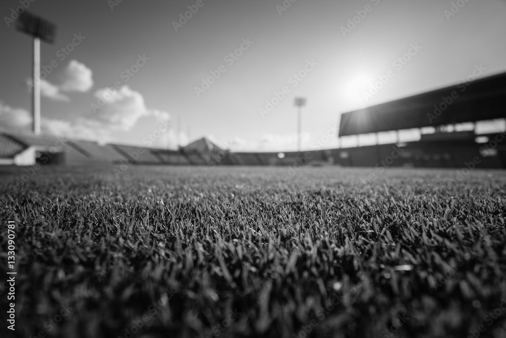 Poster green grass in soccer stadium , black and white