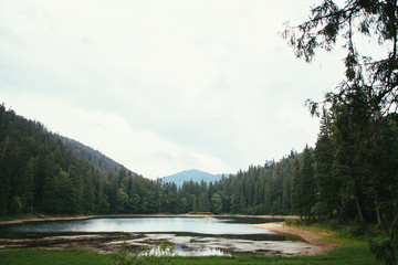 Fototapeta na wymiar Lake Synevir in the Carpathians. Ukraine