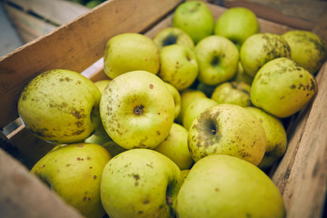 Mele verdi biologiche