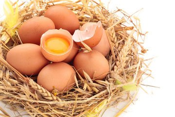 Chicken eggs in nest of straw. Isolated on white background.