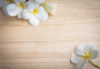 Obraz na płótnie Canvas frangipani flower on a wooden background..