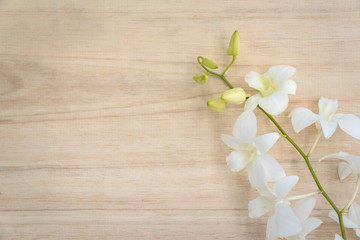 Fototapeta na wymiar White orchid flower on brown wooden background