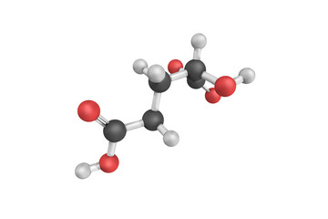 3d structure of Alpha-Hydroxyglutaric acid, an alpha hydroxy aci