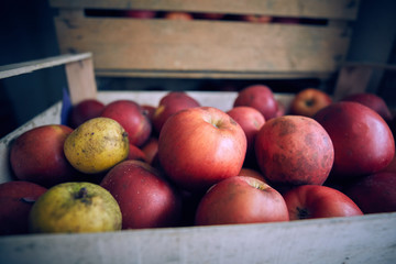 Mele rosse naturali senza trattamento
