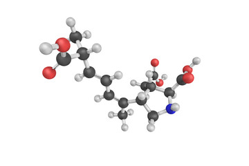 3d structure of Domoic acid (DA) is a kainic acid analog neuroto