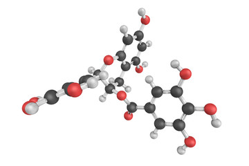 3d structure of Epigallocatechin gallate (EGCG), also known as e