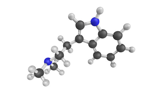 3d structure of Dimethyltryptamine, a powerful psychedelic compo