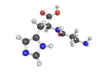 3d structure of Carnosine, a dipeptide molecule, made up of the