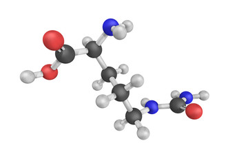 3d structure of Citrulline, an alfa-amino acid. It is a key inte