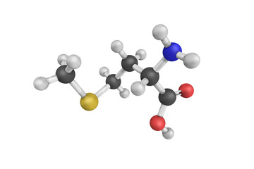 3d structure of Methionine, an essential amino acid in humans. I